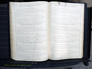 Dooly Co, GA, Marriages, Book, F, 1902-1913 pg 216-217.JPG