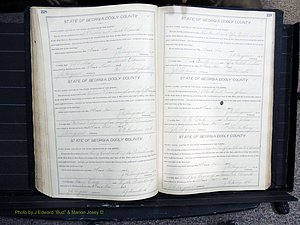 Dooly Co, GA, Marriages, Book, F, 1902-1913 pg 228-229.JPG