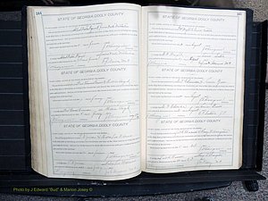 Dooly Co, GA, Marriages, Book, F, 1902-1913 pg 244-245.JPG