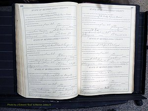 Dooly Co, GA, Marriages, Book, F, 1902-1913 pg 246-247.JPG