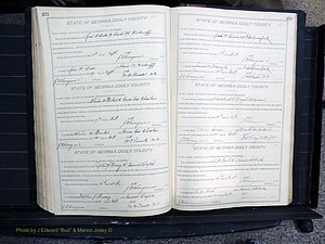 Dooly Co, GA, Marriages, Book, F, 1902-1913 pg 272-273.JPG