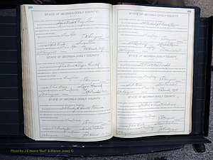 Dooly Co, GA, Marriages, Book, F, 1902-1913 pg 290-291.JPG