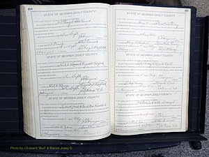 Dooly Co, GA, Marriages, Book, F, 1902-1913 pg 294-295.JPG