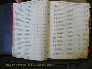 Edgecombe Births, A-Z, 1914-1933 (131).JPG