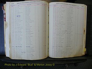 Edgecombe Births, A-Z, 1934-1949 (382).JPG
