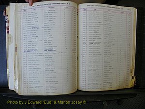 Edgecombe Births, A-Z, 1934-1949 (397).JPG