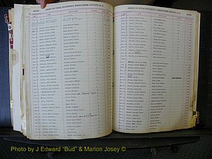Edgecombe Births, A-Z, 1934-1949 (399).JPG