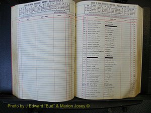 Edgecombe Births, A-Z, 1965-1990 (226).JPG