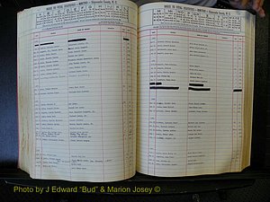 Edgecombe Births, A-Z, 1965-1990 (291).JPG
