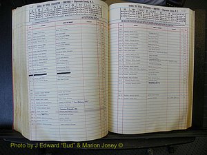 Edgecombe Births, A-Z, 1965-1990 (355).JPG
