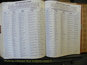 Edgecombe Marriages, A-Z, 1979-1986 (380).JPG