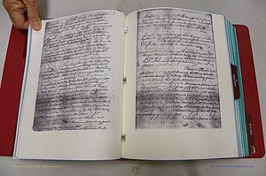 Emanuel Co, GA, Marriages Book A, 1817 - 1888, (017).JPG