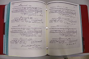 Emanuel Co, GA, Marriages Book A, 1817 - 1888, (217).JPG