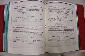 Emanuel Co, GA, Marriages Book A, 1817 - 1888, (219).JPG