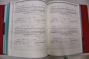 Emanuel Co, GA, Marriages Book A, 1817 - 1888, (220).JPG