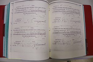 Emanuel Co, GA, Marriages Book A, 1817 - 1888, (223).JPG