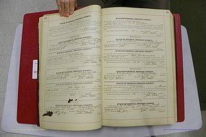 Emanuel Co, GA, Marriages Book C, 1896 - 1903, P 012-013.JPG