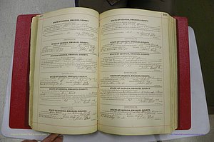 Emanuel Co, GA, Marriages Book C, 1896 - 1903, P 102-103.JPG