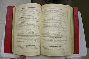 Emanuel Co, GA, Marriages Book C, 1896 - 1903, P 108-109.JPG