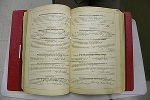 Emanuel Co, GA, Marriages Book C, 1896 - 1903, P 114-115.JPG