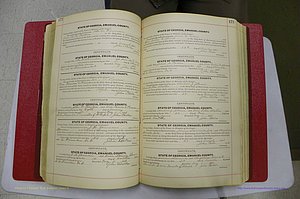 Emanuel Co, GA, Marriages Book C, 1896 - 1903, P 172-173.JPG