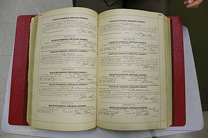 Emanuel Co, GA, Marriages Book C, 1896 - 1903, P 186-187.JPG