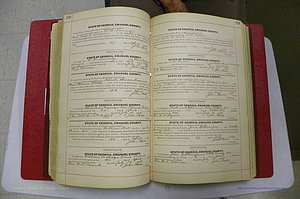 Emanuel Co, GA, Marriages Book C, 1896 - 1903, P 230-231.JPG