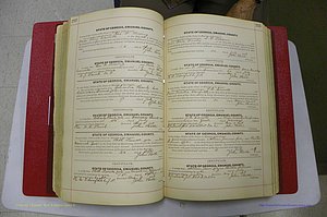 Emanuel Co, GA, Marriages Book C, 1896 - 1903, P 232-233.JPG