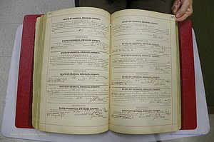 Emanuel Co, GA, Marriages Book C, 1896 - 1903, P 314-315.JPG