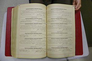 Emanuel Co, GA, Marriages Book C, 1896 - 1903, P 484-485.JPG