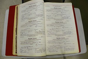 Emanuel Co, GA, Marriages Book L, 1952 - 1962, P 002-003.JPG