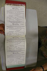 Emanuel Co, GA, Marriages Book P, 1984 - 1990, P 008-009.JPG