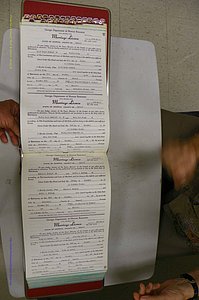Emanuel Co, GA, Marriages Book P, 1984 - 1990, P 010-011.JPG