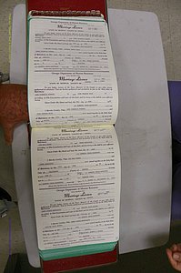 Emanuel Co, GA, Marriages Book R, 1898 - 2003, P 020-021.JPG