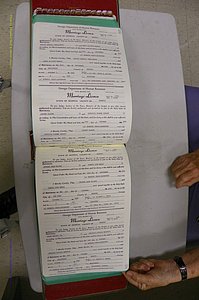 Emanuel Co, GA, Marriages Book R, 1898 - 2003, P 230-231.JPG
