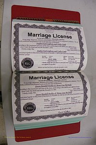 Emanuel Co, GA, Marriages Book S, 2003 - 2006, P 116-117.JPG