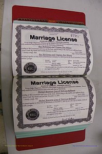 Emanuel Co, GA, Marriages Book S, 2003 - 2006, P 134-135.JPG