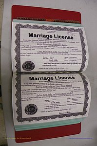 Emanuel Co, GA, Marriages Book S, 2003 - 2006, P 142-143.JPG
