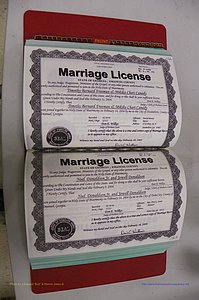 Emanuel Co, GA, Marriages Book S, 2003 - 2006, P 152-153.JPG