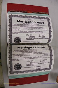 Emanuel Co, GA, Marriages Book S, 2003 - 2006, P 156-157.JPG