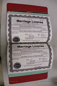 Emanuel Co, GA, Marriages Book S, 2003 - 2006, P 166-167.JPG