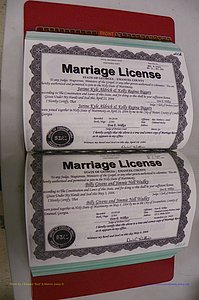 Emanuel Co, GA, Marriages Book S, 2003 - 2006, P 202-203.JPG