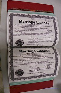 Emanuel Co, GA, Marriages Book S, 2003 - 2006, P 208-209.JPG