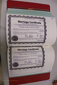 Emanuel Co, GA, Marriages Book S, 2003 - 2006, P 487-488.JPG