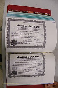 Emanuel Co, GA, Marriages Book T, 2006 - 2009, P 493-494.JPG