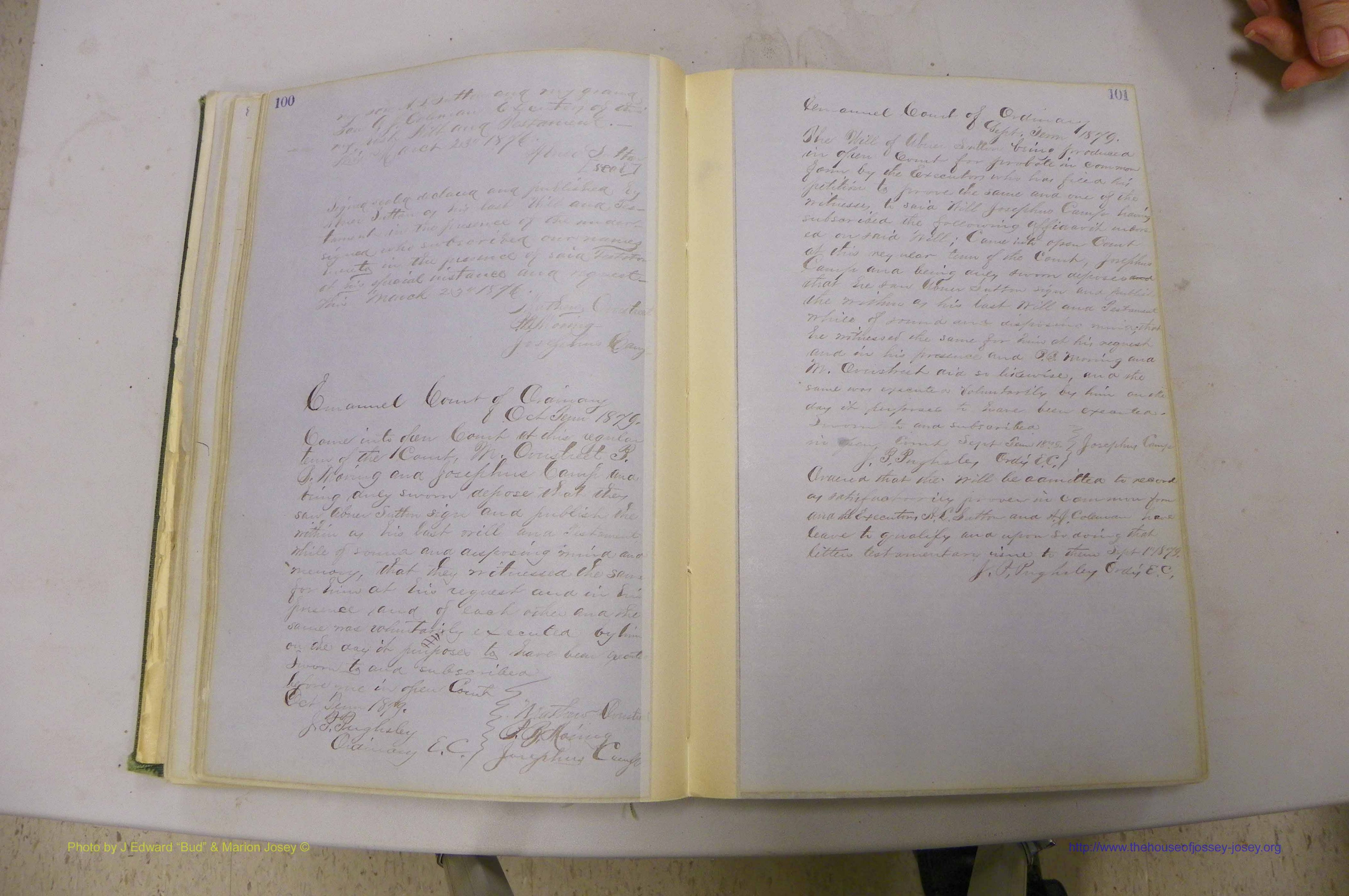 Emanuel Co, GA, Will Book B, 1857 - 1907, P 100-101.JPG