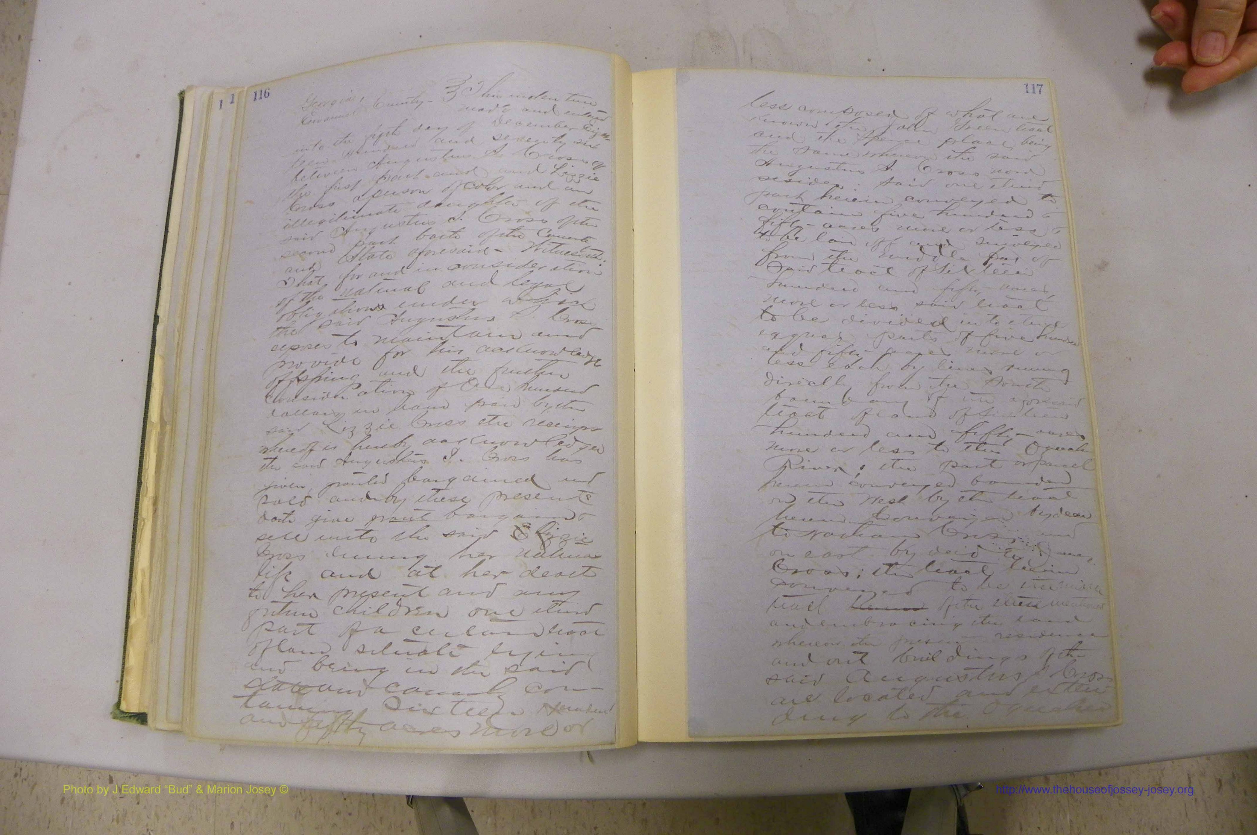 Emanuel Co, GA, Will Book B, 1857 - 1907, P 116-117.JPG