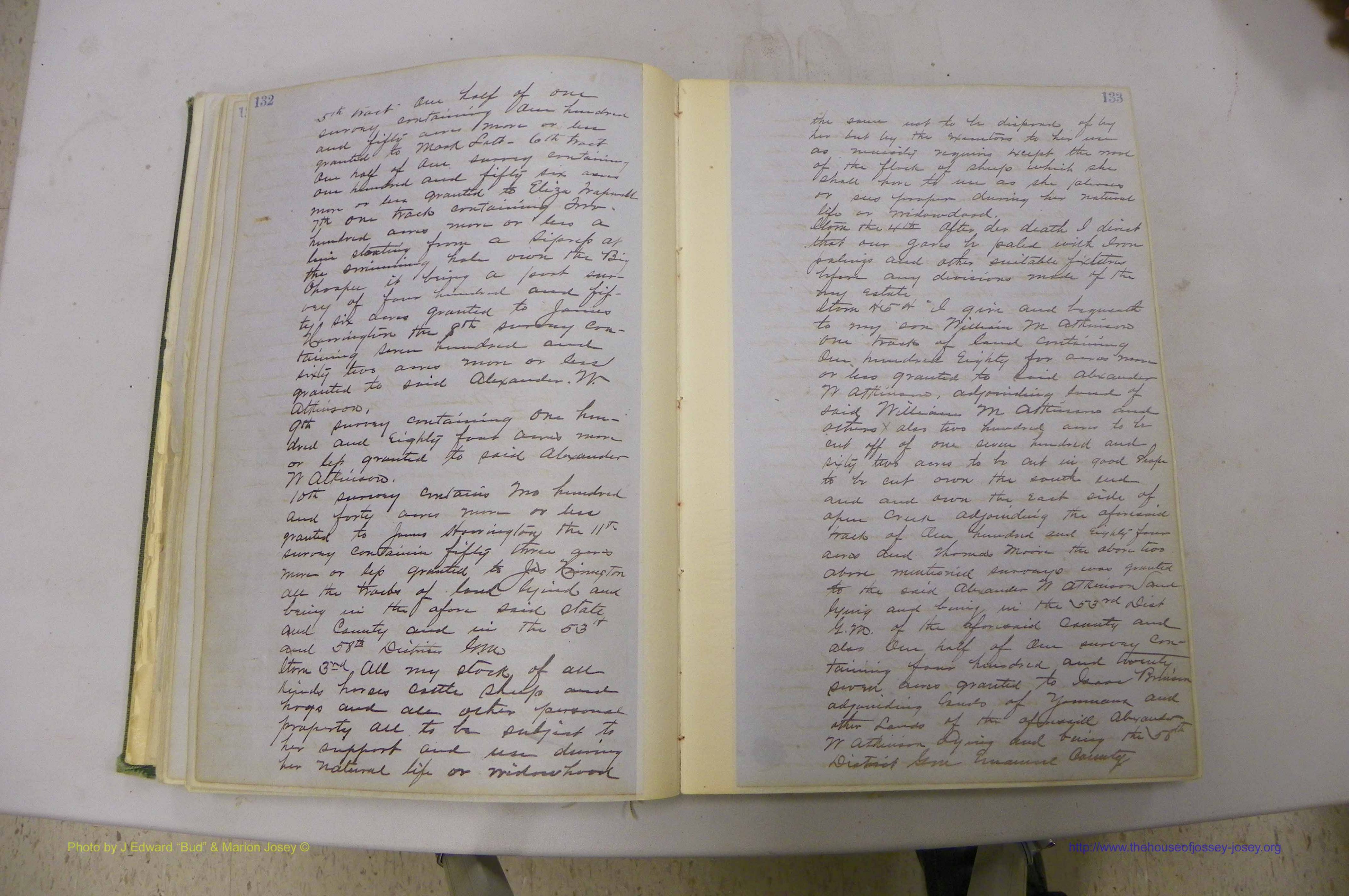 Emanuel Co, GA, Will Book B, 1857 - 1907, P 132-133a.JPG