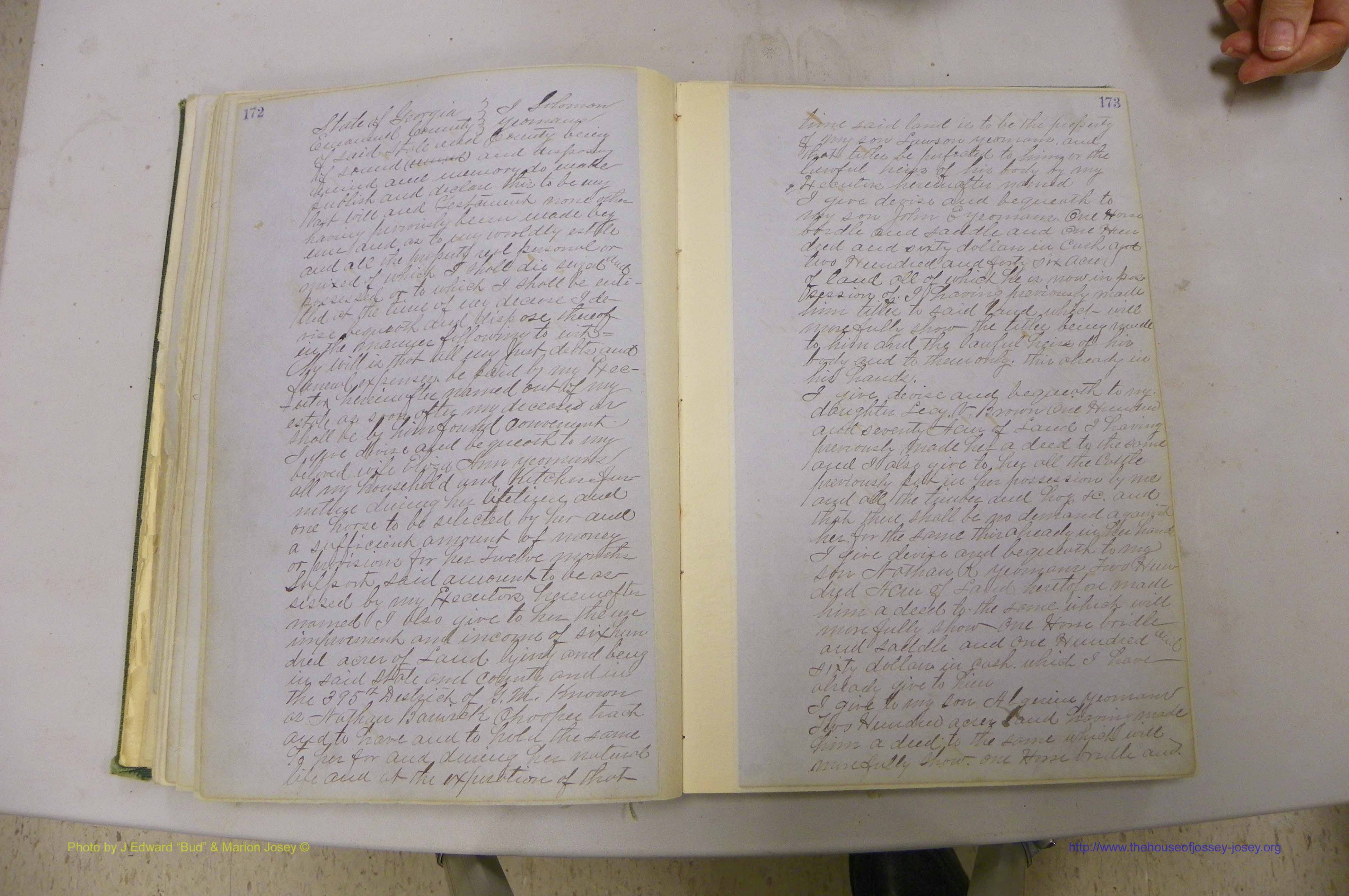 Emanuel Co, GA, Will Book B, 1857 - 1907, P 172-173.JPG