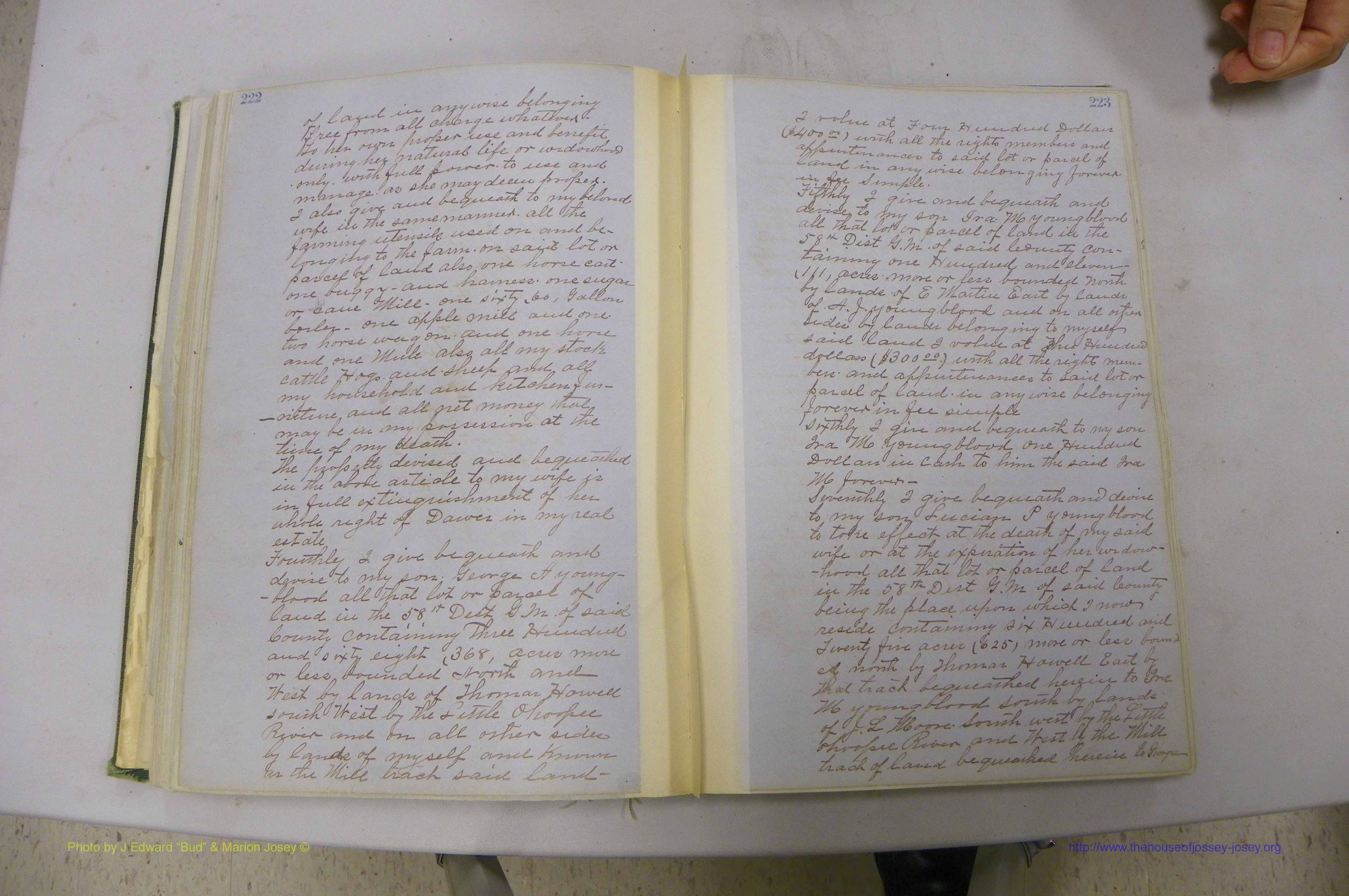 Emanuel Co, GA, Will Book B, 1857 - 1907, P 222-223.JPG